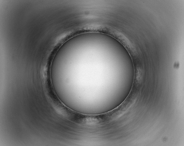 X0000103950636200809191442