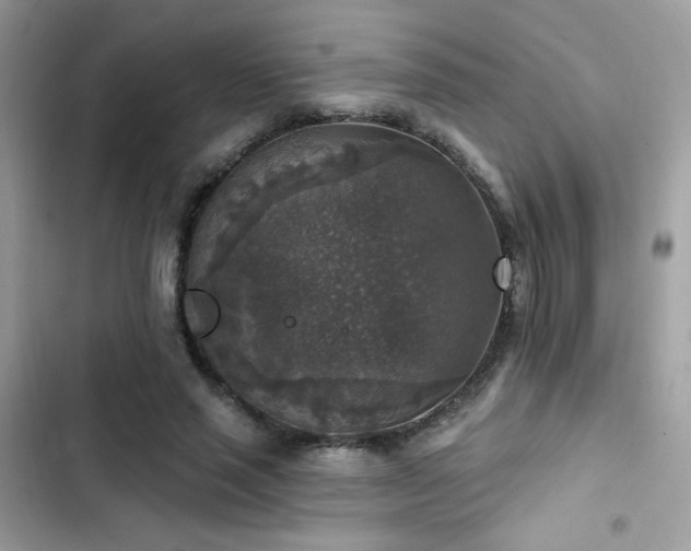 X0000103950637200809191442