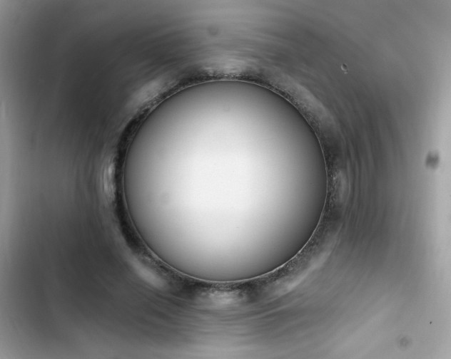 X0000103950638200809191442