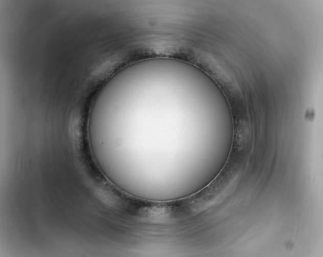 X0000103950639200809191442