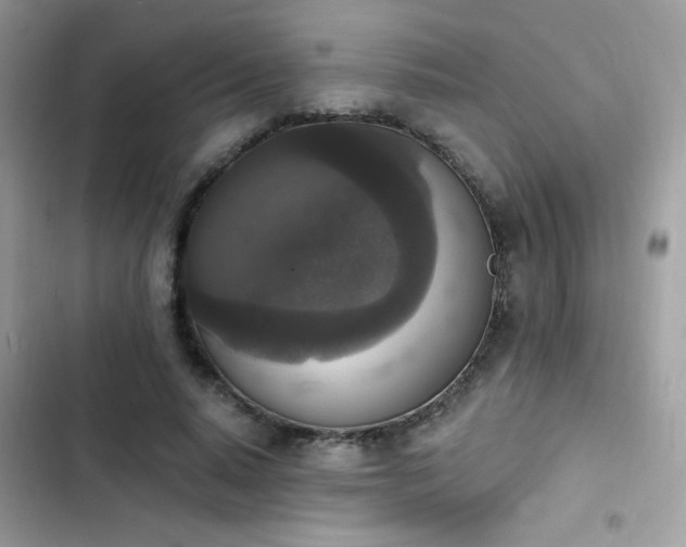 X0000103950640200809191442
