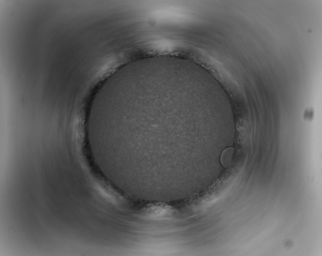X0000103950642200809191442