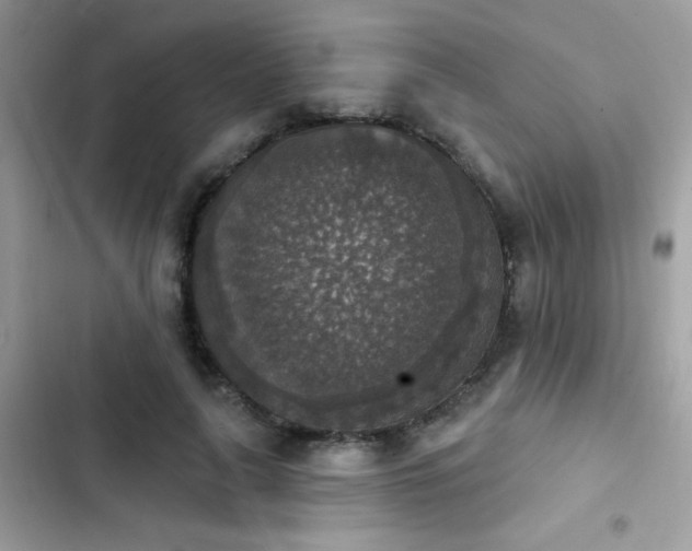 X0000103950643200809191442