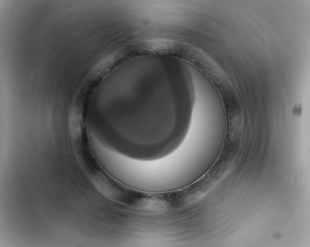 X0000103950644200809191442