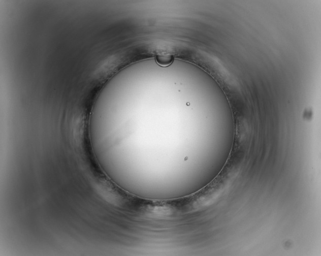 X0000103950645200809191442