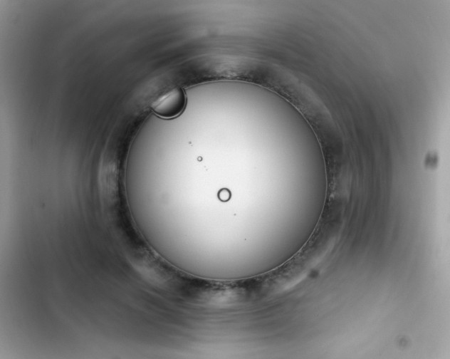 X0000103950646200809191442