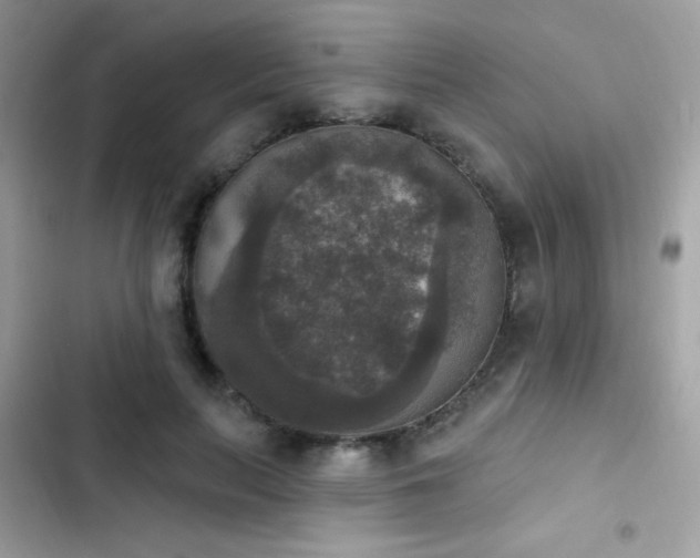 X0000103950647200809191442