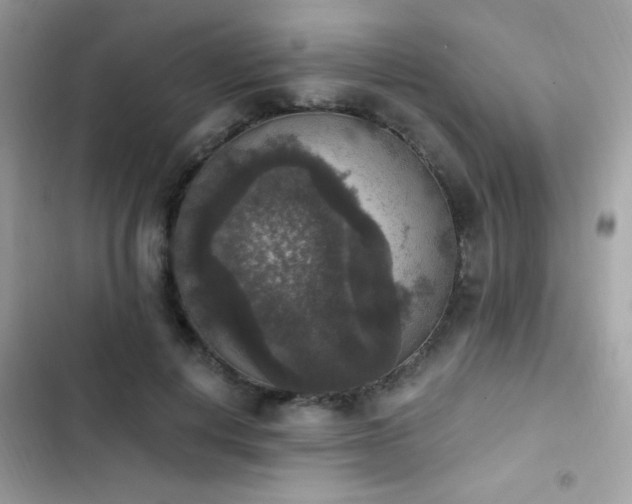 X0000103950648200809191442