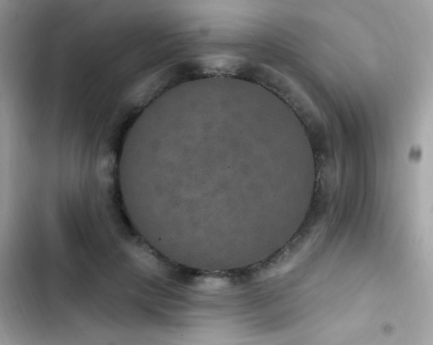 X0000103950649200809191442