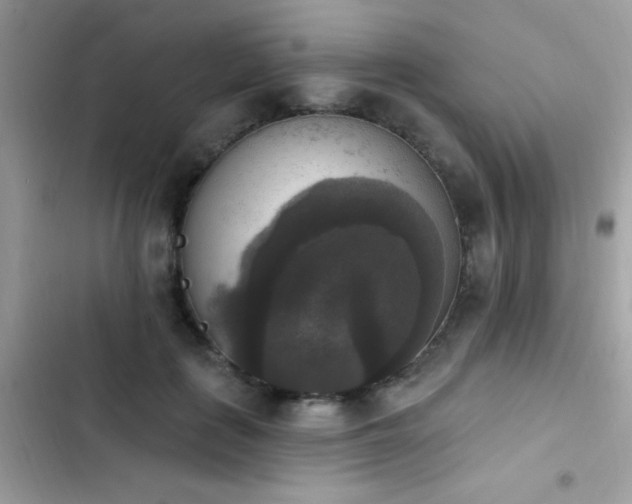 X0000103950651200809191442