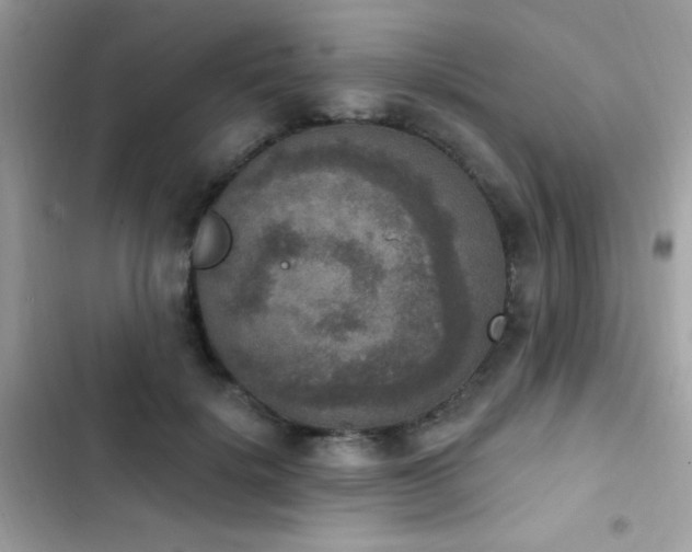 X0000103950652200809191442