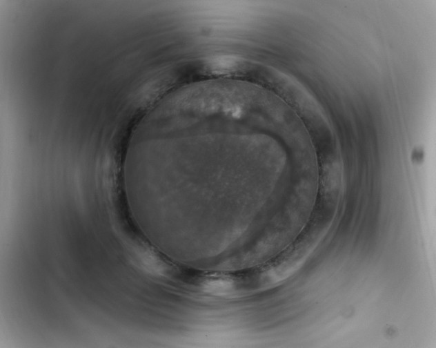 X0000103950653200809191442