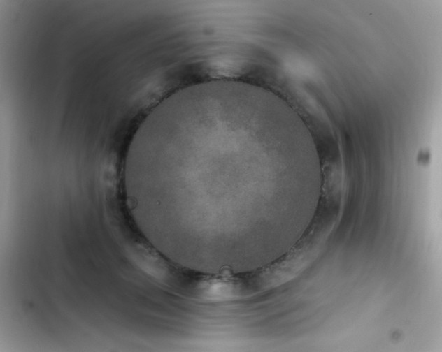 X0000103950655200809191442