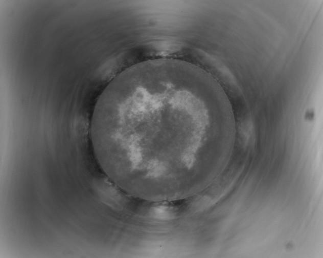X0000103950657200809191442