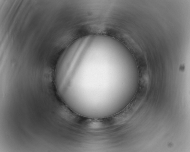 X0000103950658200809191442