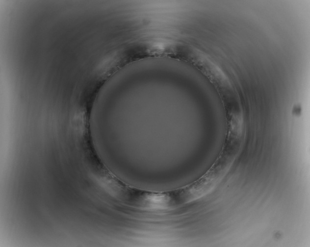 X0000103950659200809191442