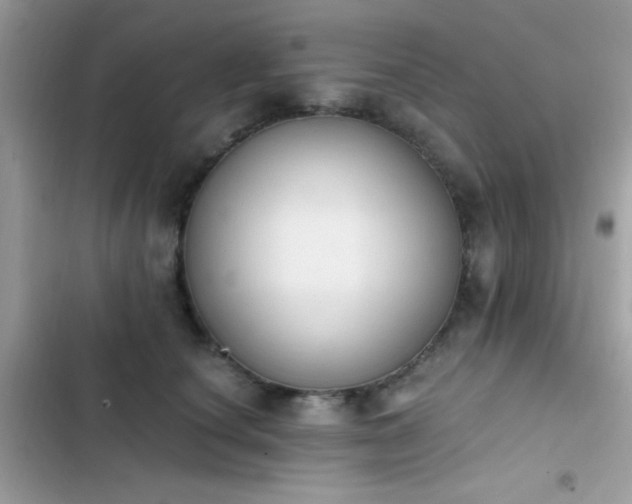 X0000103950660200809191442