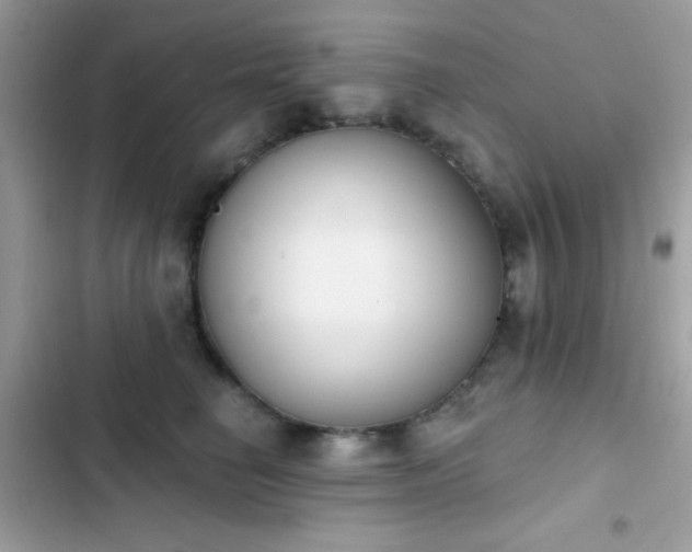 X0000103950662200809191442