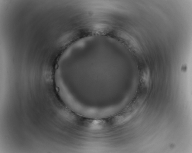 X0000103950663200809191442