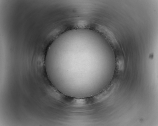 X0000103950665200809191442