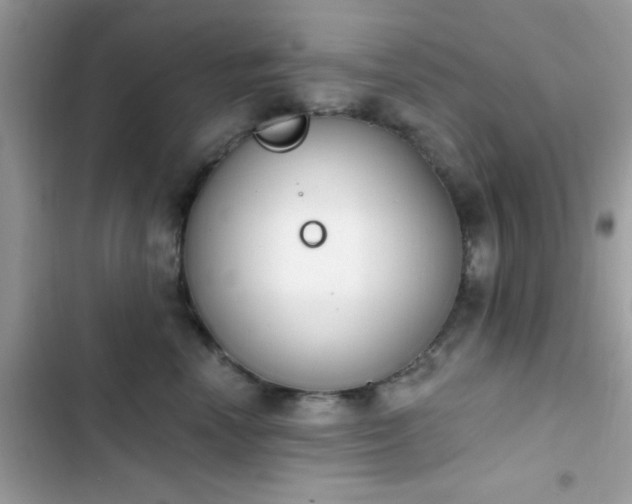 X0000103950666200809191442