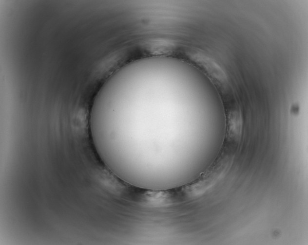 X0000103950667200809191442