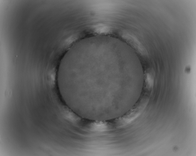 X0000103950668200809191442