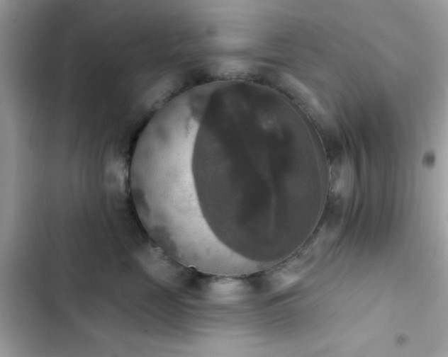 X0000103950669200809191442
