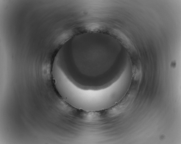 X0000103950670200809191442
