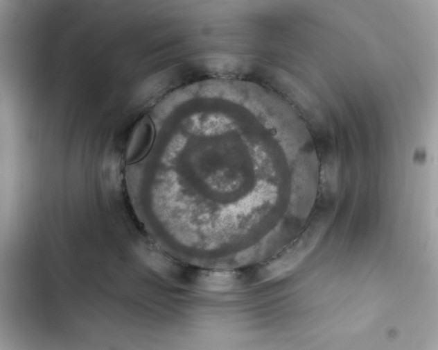 X0000103950671200809191442