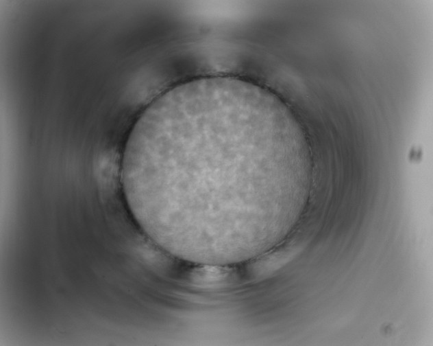X0000103950672200809191442