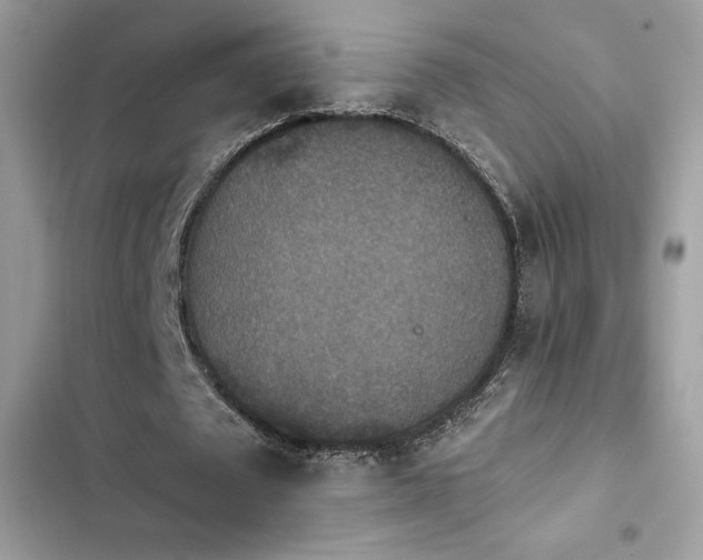 X0000103950673200809191441