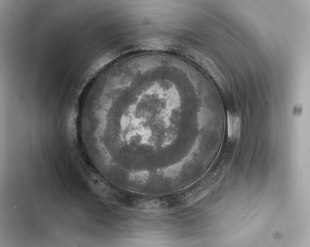 X0000103950675200809191441