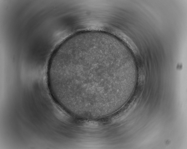 X0000103950677200809191441