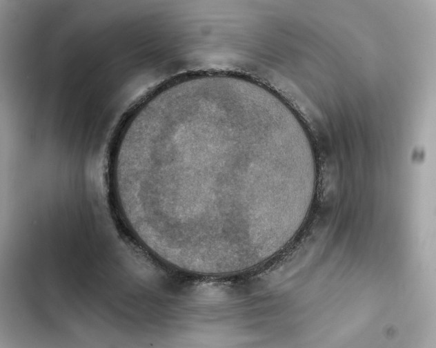 X0000103950680200809191441