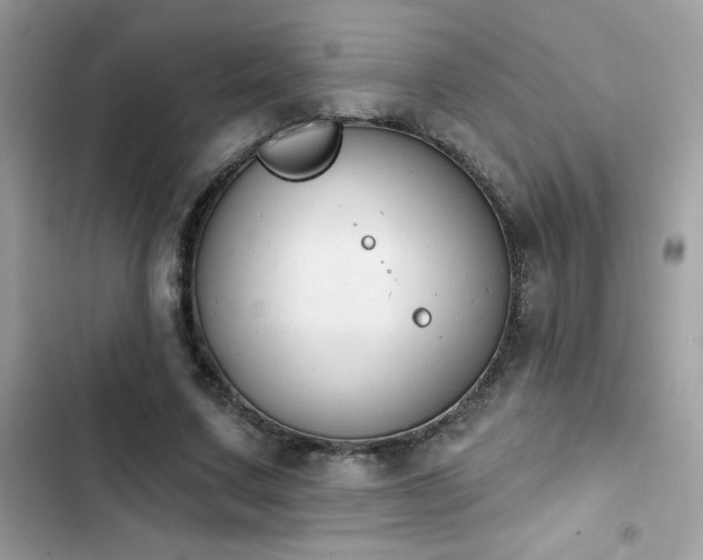 X0000103950683200809191441