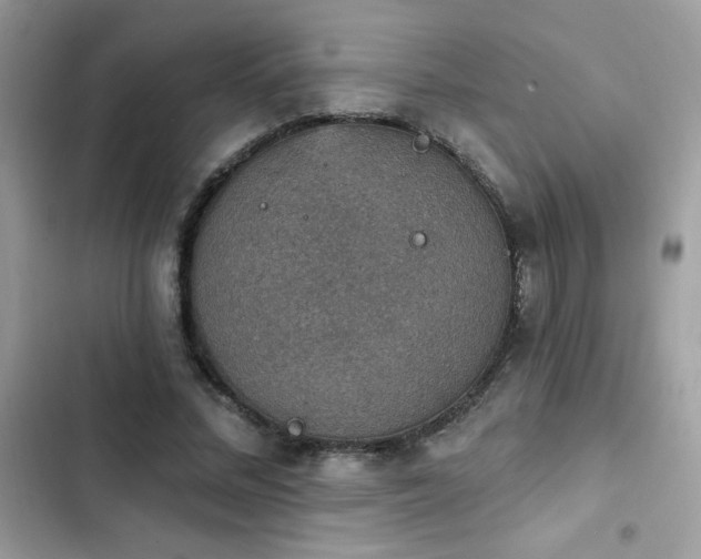 X0000103950684200809191441
