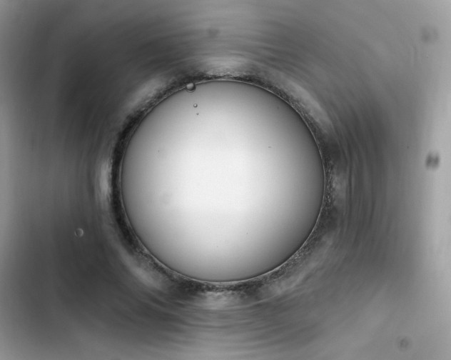 X0000103950686200809191441