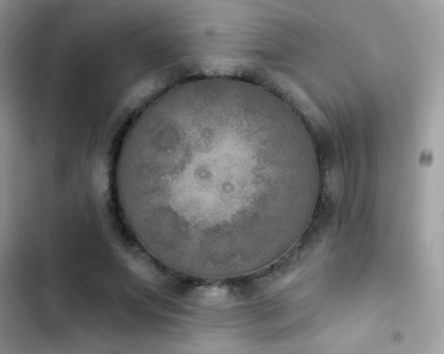 X0000103950687200809191441