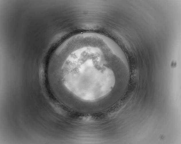 X0000103950688200809191441