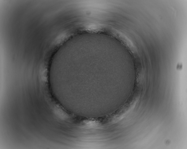 X0000103950689200809191441