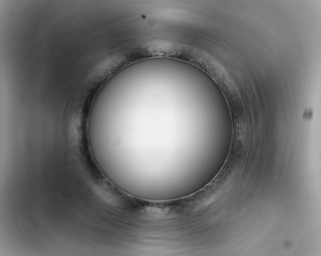X0000103950690200809191441