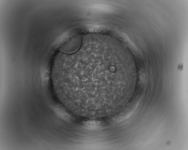 X0000103950691200809191441