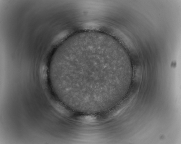 X0000103950692200809191441