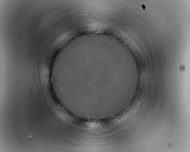 X0000103950693200809191441