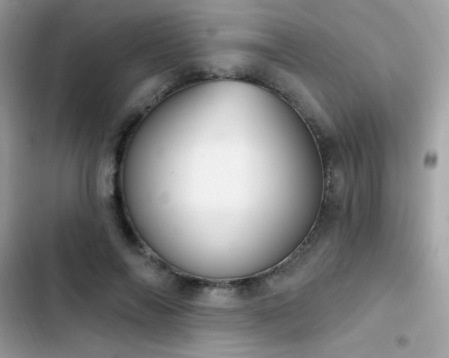 X0000103950694200809191441