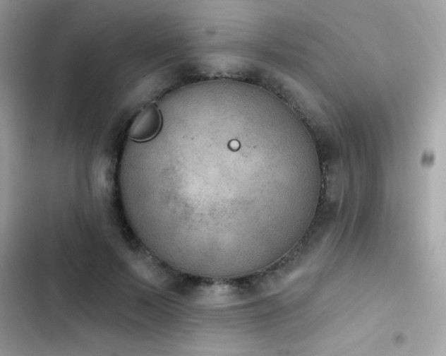 X0000103950695200809191441