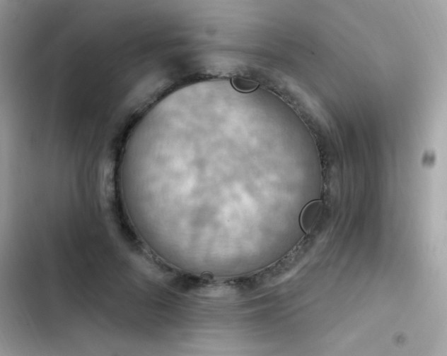 X0000103950696200809191441