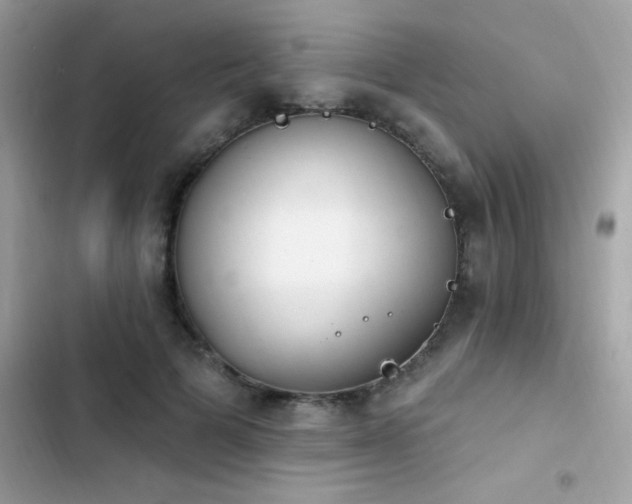 X0000103950697200809191441