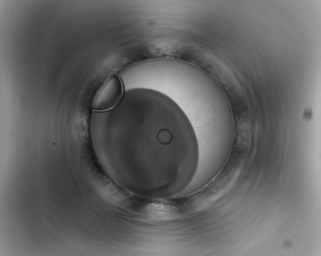 X0000103950699200809191441